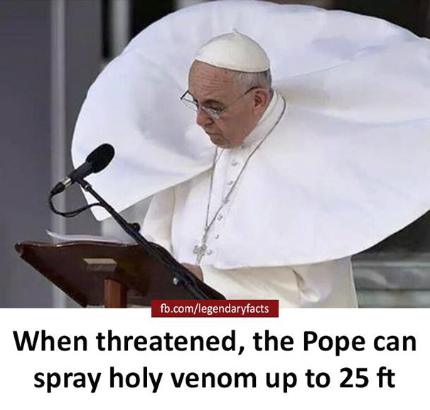The Threatened Pope