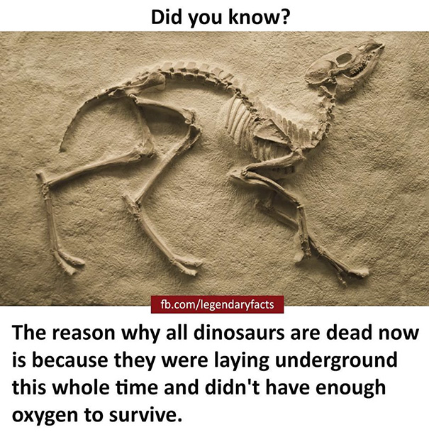 Legendary Fact