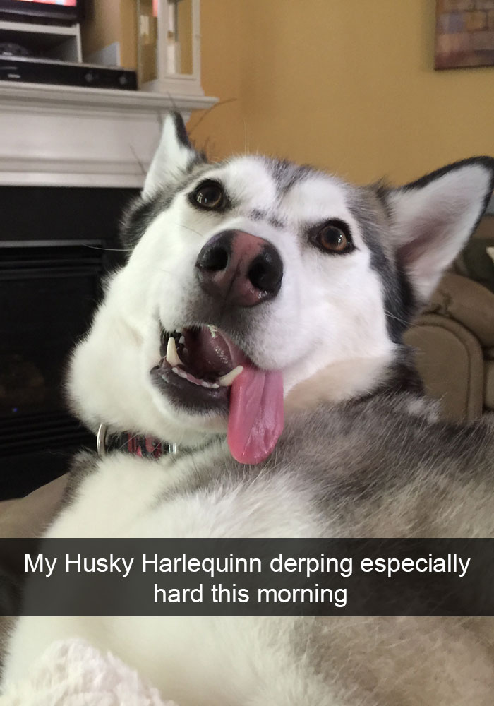Husky Post