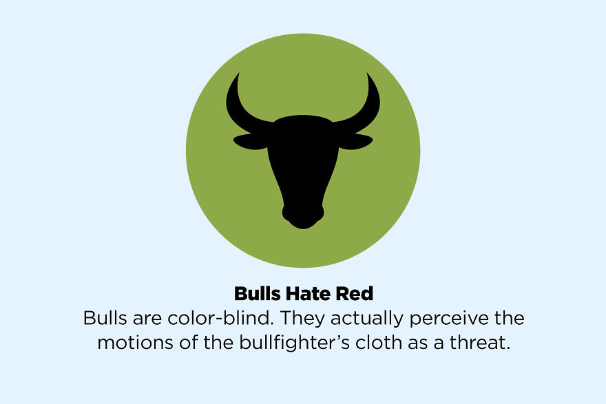 Bulls Hate Red