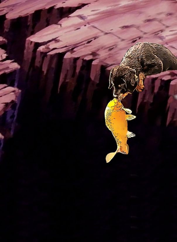 The Fish Of The Chasm