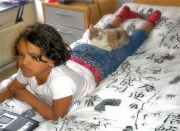 Adults Were Terrified To Look At The Kitty, Until A 7-Year-Old Girl Saved Her