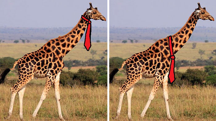 how-giraffes-wear-ties-1