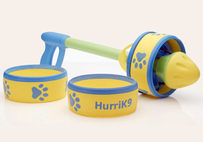 Best Pet Gifts This Christmas