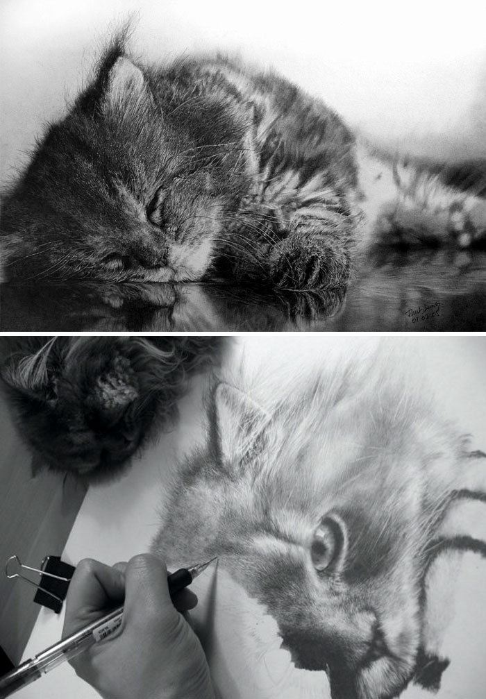 Pencil Drawings By Paul Lung