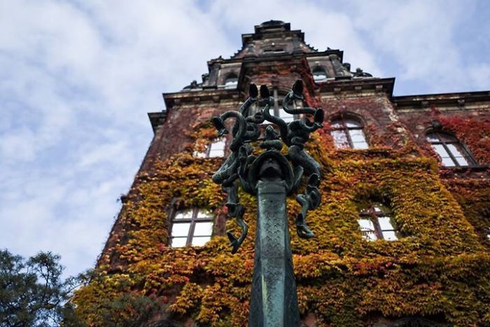 National Museum Surrounded By Vibrant Autumn Colors Ivy Leaf