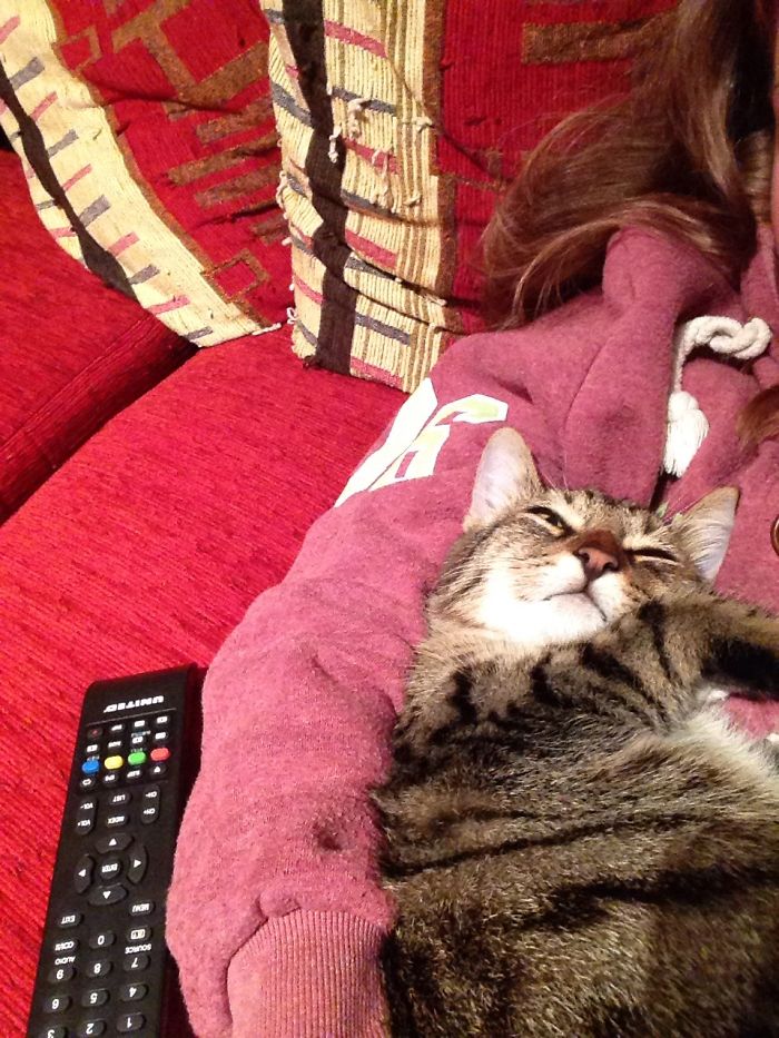 Il Ciccione Dorme