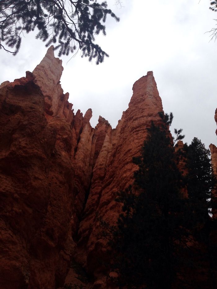 Nature Surrounds Us