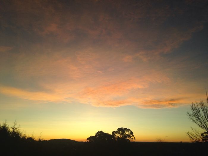 These Are The Skies Of My Life