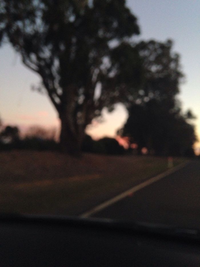 These Are The Skies Of My Life