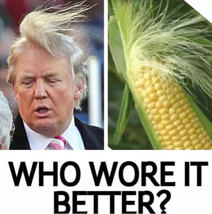 Trump Vs Corn