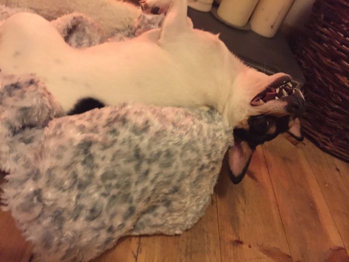 Long Cold Walk, Home And Warmth Reaction