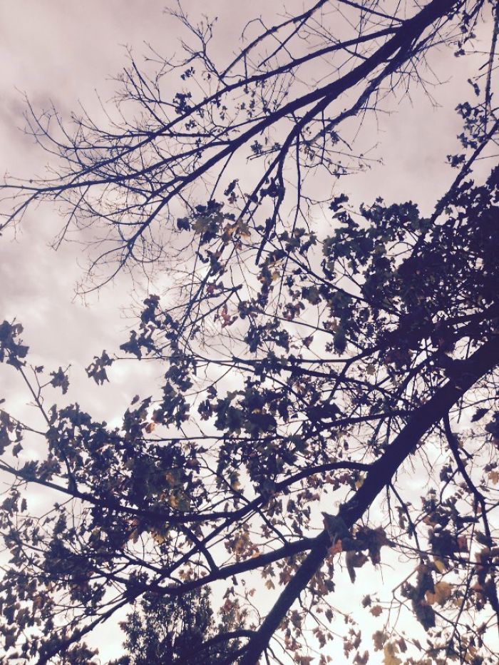 Thanksgiving Photos