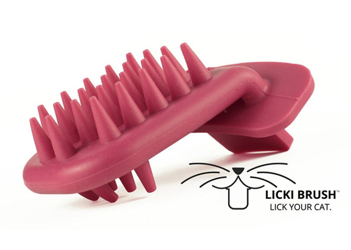 Best Pet Gifts This Christmas