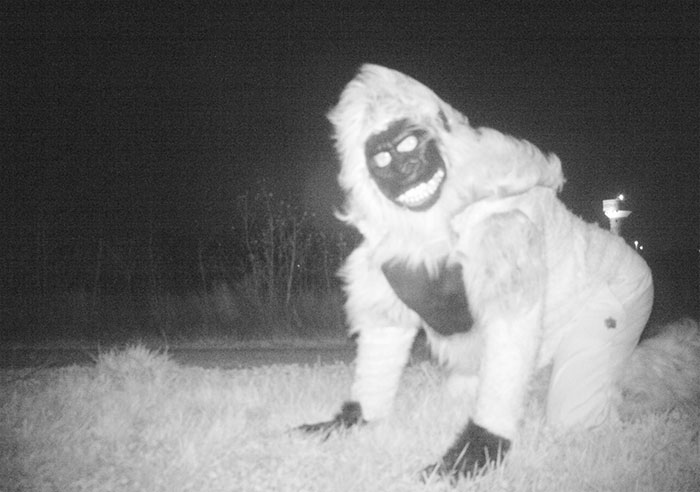 Police Set Up A Camera To Find A Mountain Lion, But They Weren't Prepared For What They Found Instead