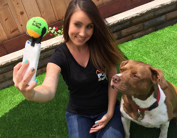 Best Pet Gifts This Christmas