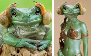 La rana que parece la princesa Leia desata una divertida batalla de Photoshop
