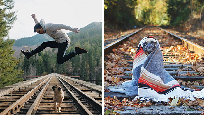 Owner Takes His Pug On Epic Adventures (147 Pics)
