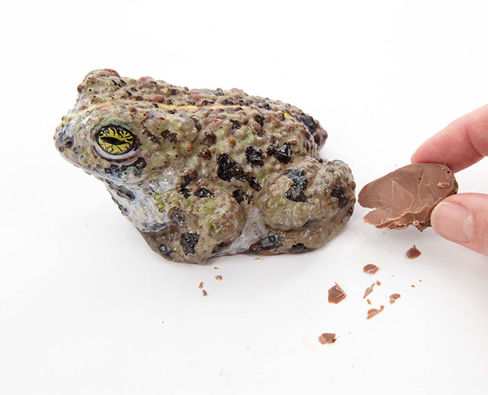 Incredibly Realistic Chocolate Art You Wouldn't Dare To Eat