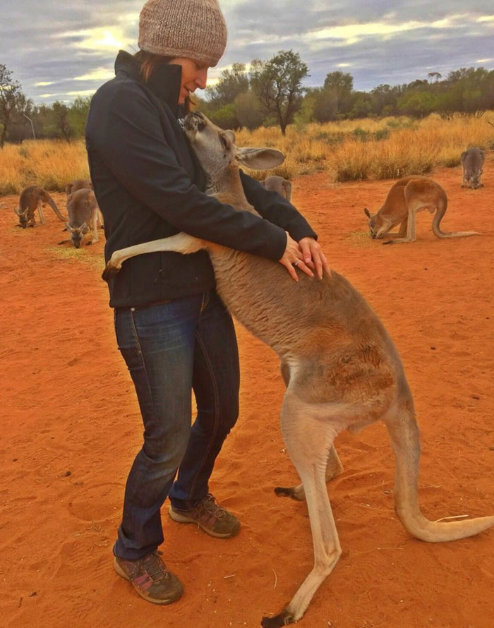 Rescued Kangaroo Hugs Her Rescuers Every Day, And The Internet Can't Handle It