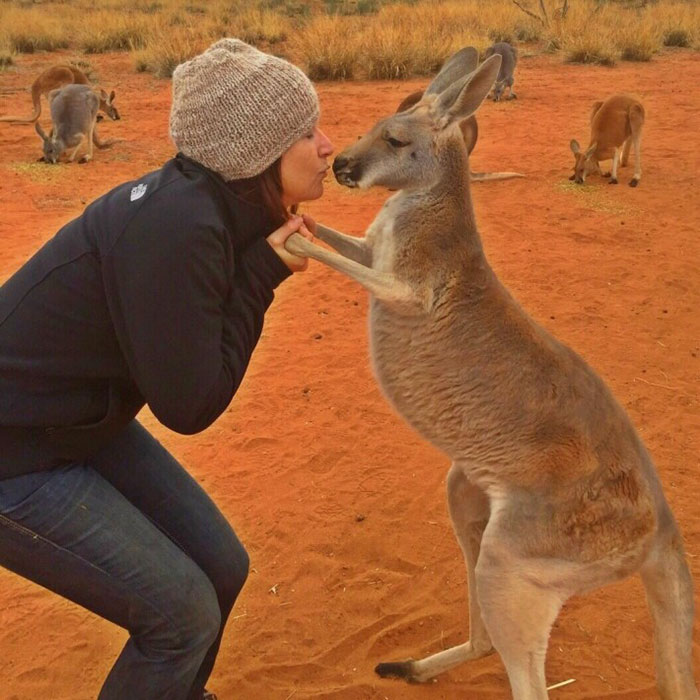 Rescued Kangaroo Hugs Her Rescuers Every Day, And The Internet Can't Handle It