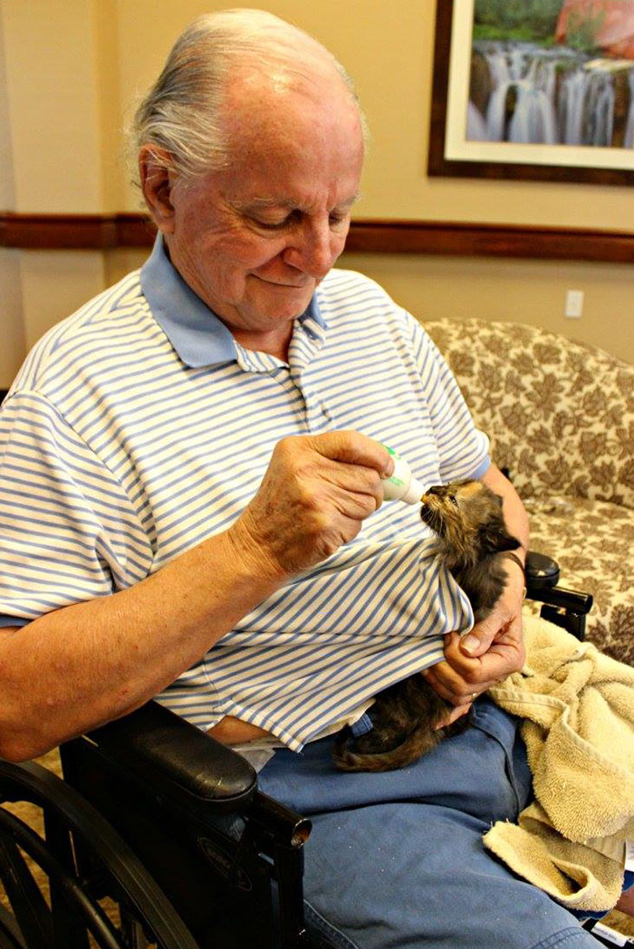 Animal Shelter Partners With Elderly Care Facility To Save Both Orphaned Kittens And Elders