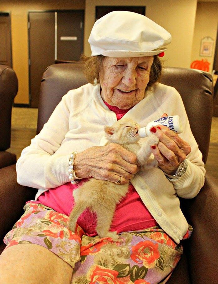 retirement-home-shelter-cats-5