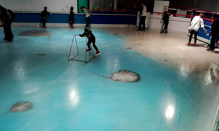skating-rink-freeze-fish-ice-japan-8