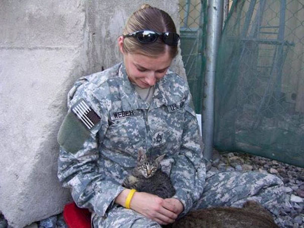 This Soldier Refused To Leave Sick Kitten Behind In Afghanistan