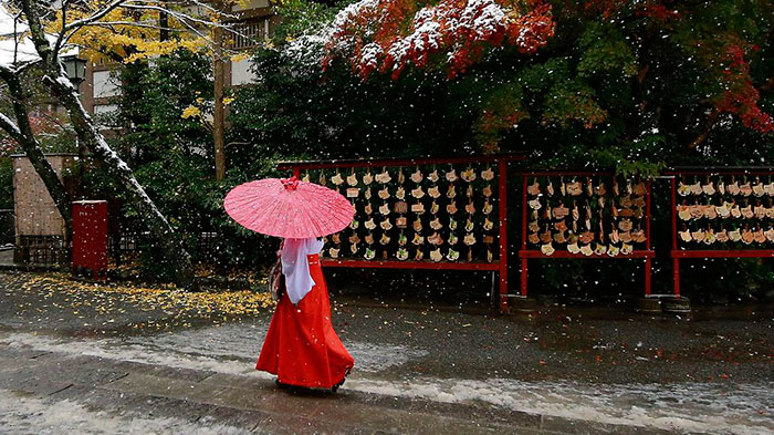 Tokyo First Snow In November 2016