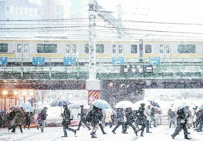 Tokyo First Snow In November 2016