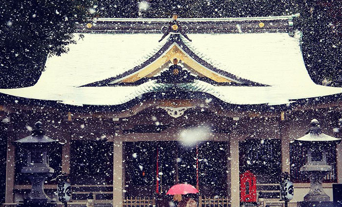 Tokyo, Which Hasn’t Seen November Snow In Over 50 Years, Surprised To Wake Up In A Winter Wonderland