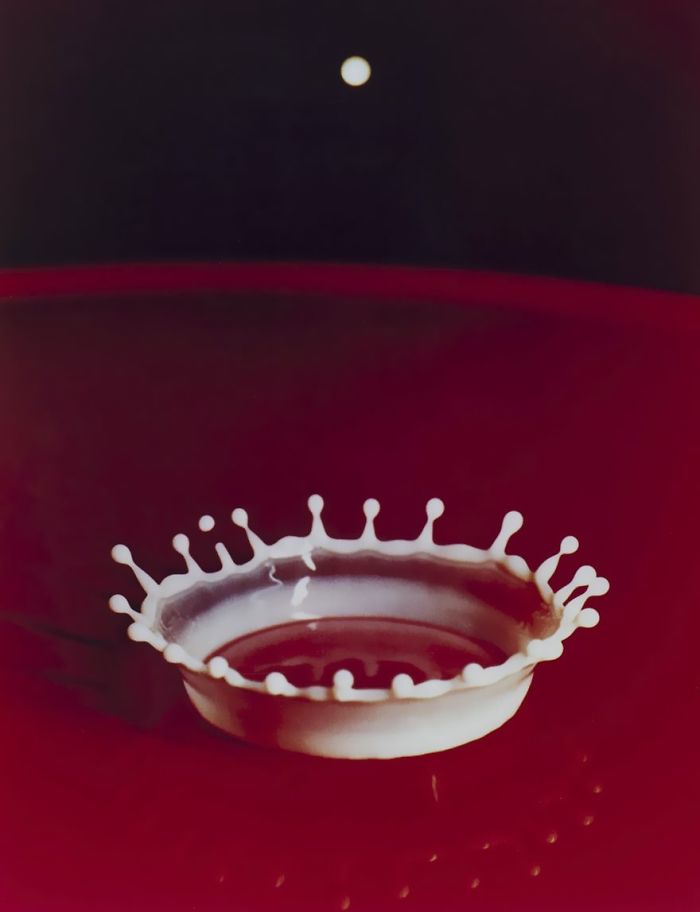 Milk drop coronet captured on red surface, showcasing one of the most famous photos in history.
