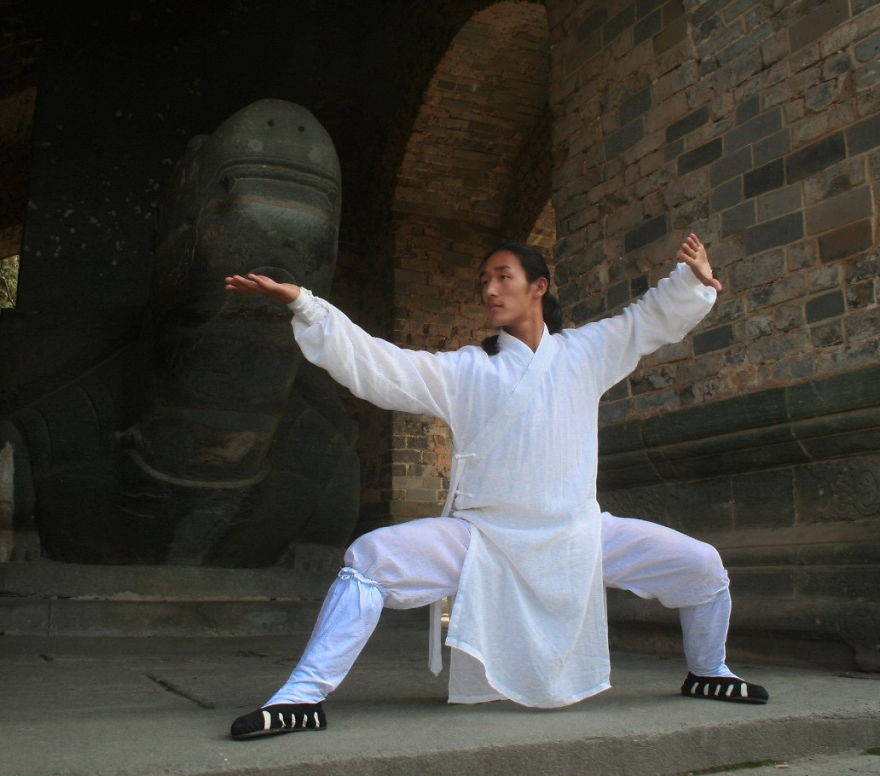 My Way From An Assistant Professor To A Kungfu Teacher, Or What Kugfu Panda Concealed... My Way From An Assistant Professor To A Kungfu Teacher, Or What Kugfu Panda Concealed...
