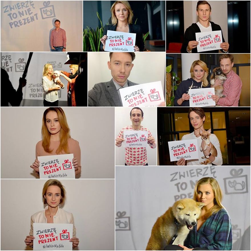 10 Touching And Beautiful Movies In Social Campaign A Pet Is Not A Gift - 10 Fairy-Tales Too Scary For Adults. 10 Touching And Beautiful Movies In Social Campaign A Pet Is Not A Gift - 10 Fairy-Tales Too Scary For Adults.