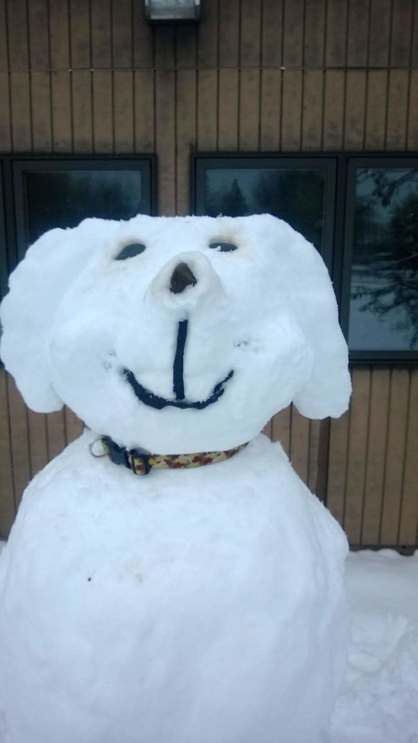 A Snow Puppy. This Was Located Outside Of A Local Veterinary Hospital. :-)