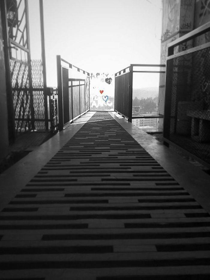 Photography Dream