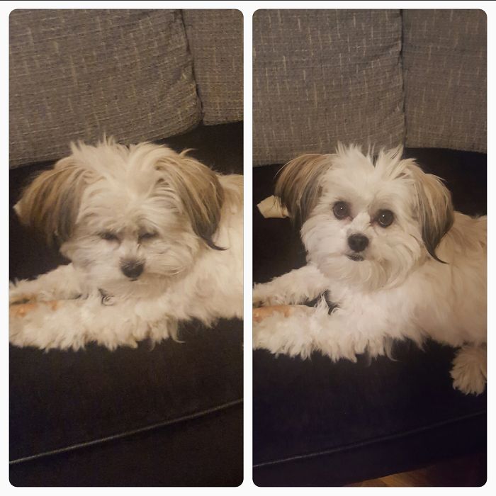 Theo Before & After Being Called A Good Boy