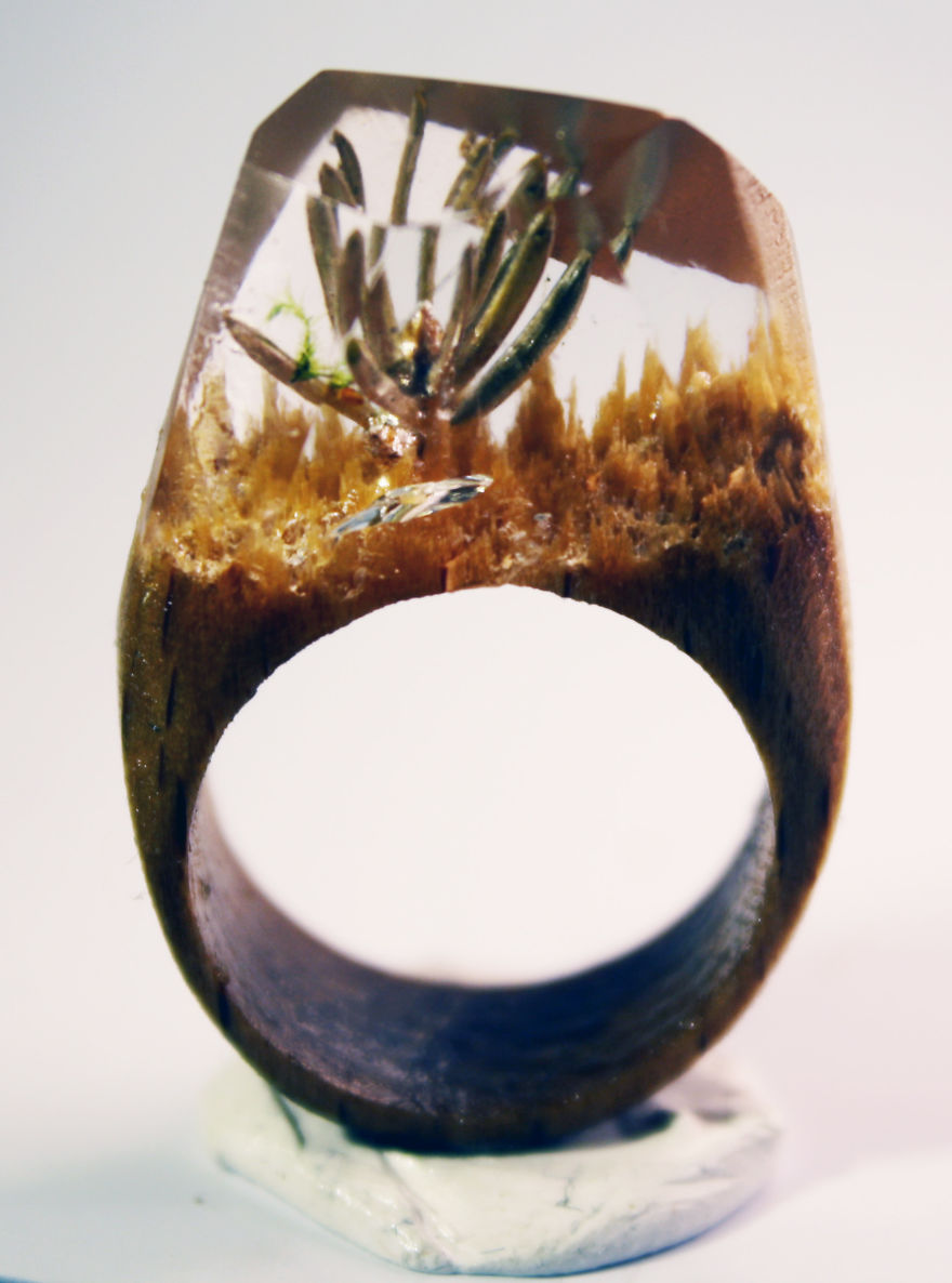 Another Interesting Rings Now From Frozenrings