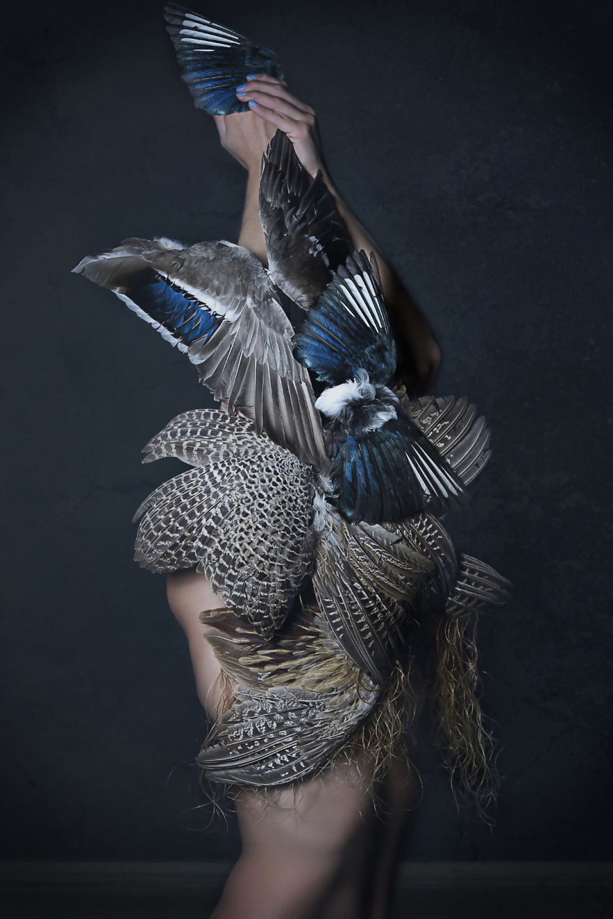 Wings
