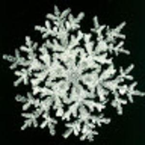 priyankabhovad avatar