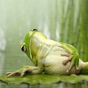 pawelgutowski85 avatar