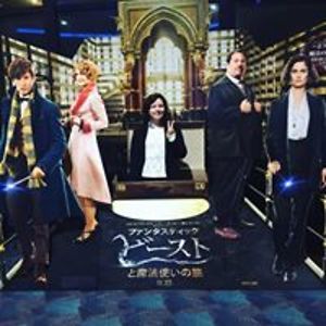 taylor_rose_francis avatar