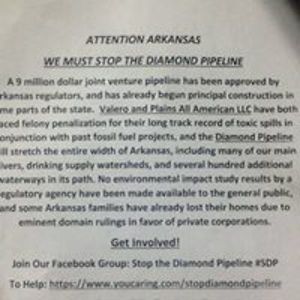 zestypicklefiesta avatar