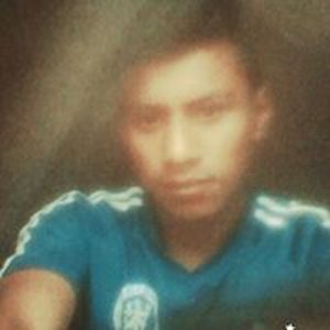 willi_dominguez avatar