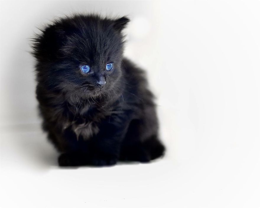 Black And Blue