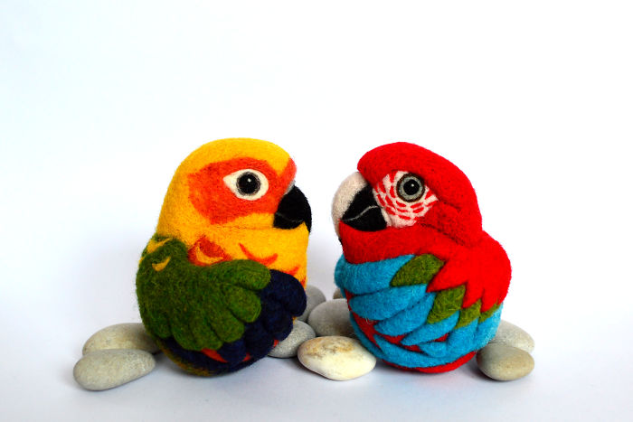 Colorful Pair Of Parrots - Jenday Conure And Red And Green Macaw