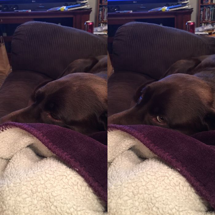 Before And After Being Called A Good Boy.