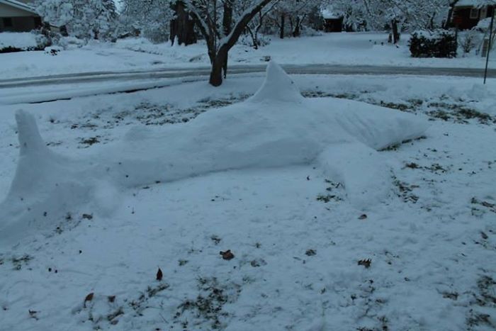 We Create These Snow Sculptures In Our Backyard