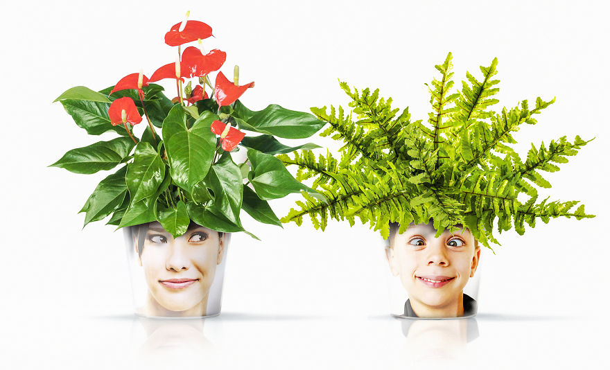 Facepot That Allows You To Surprise A Stranger